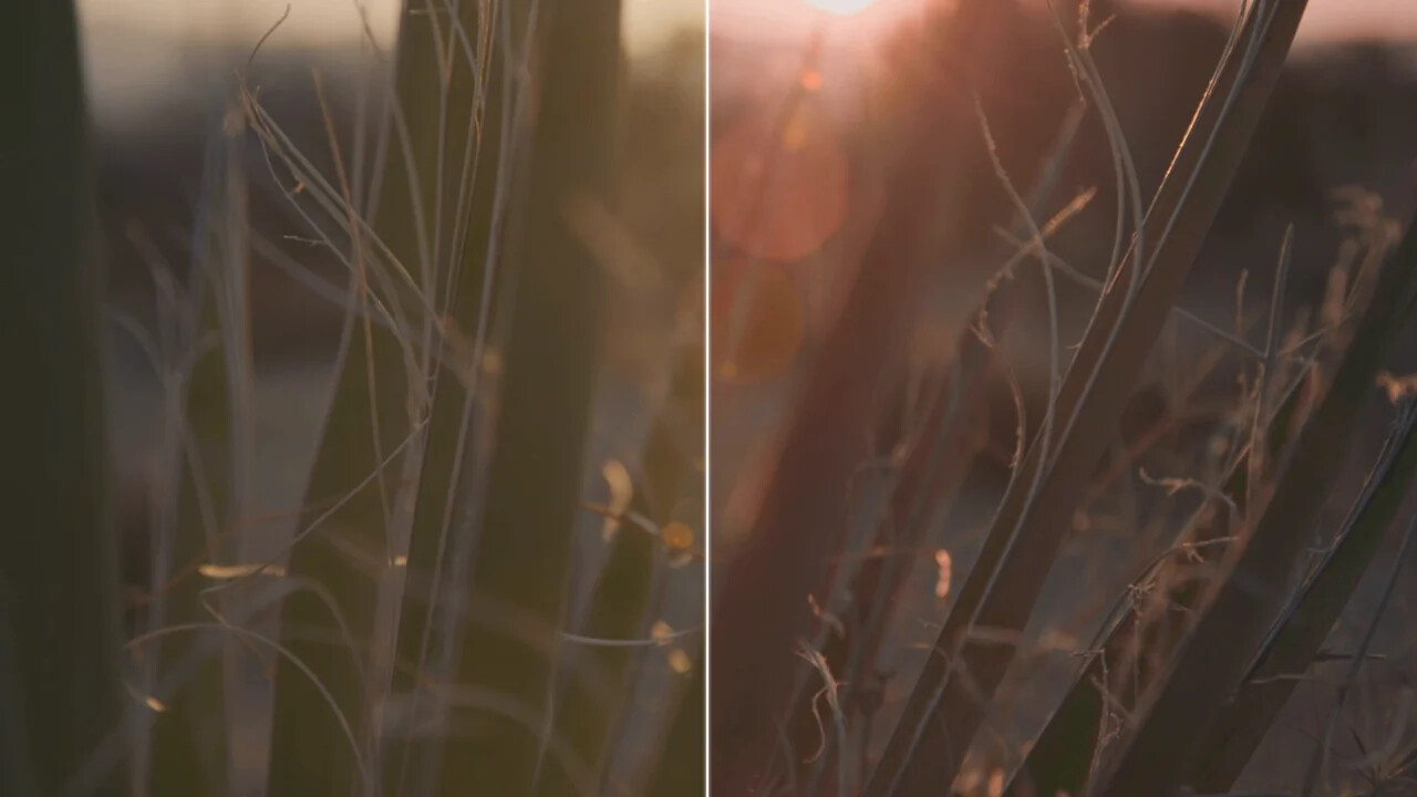 Warm Soul color grading preset