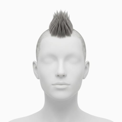 Punk Hair