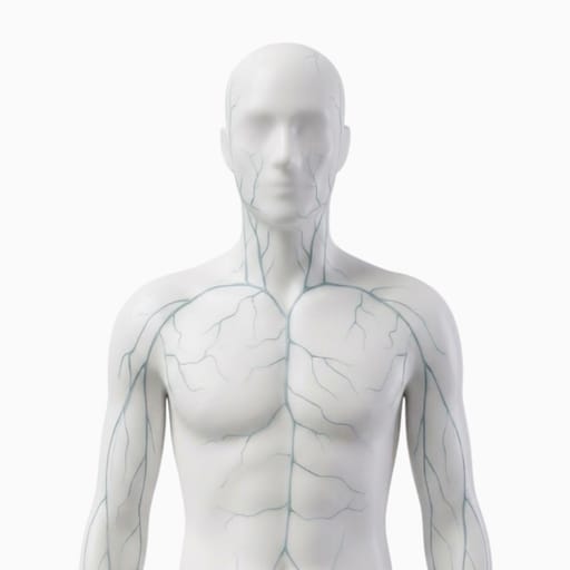 Veins Visible
