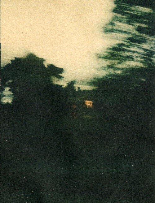 Disposable camera