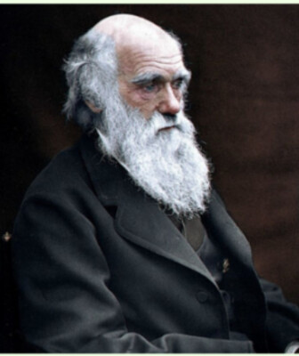 Product top card image