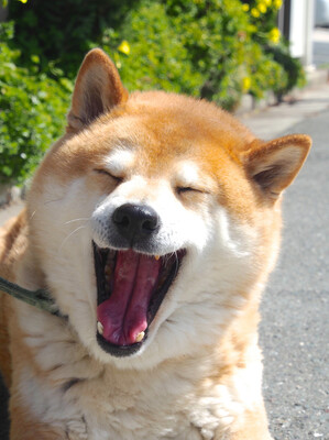 Product top card image