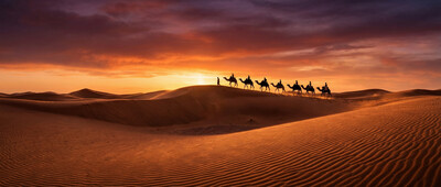 Product top card image