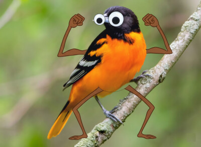 Product top card image