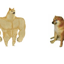 Buff Doge vs Cheems