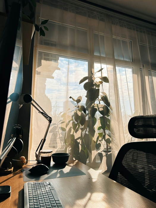 Afternoon lo-fi