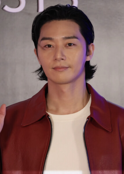 Park Seo Joon